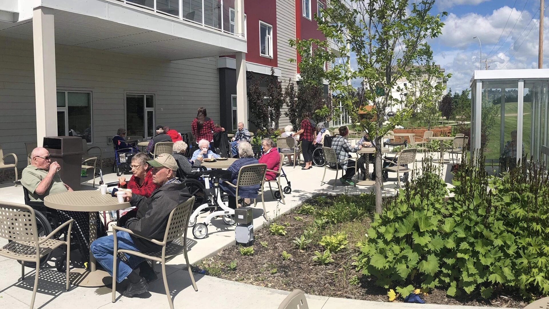 Residents of Sagebrush enjoying their drinks under sunlight